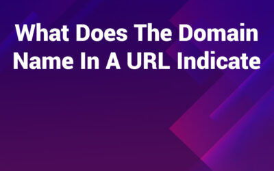 What Does the Domain Name in a URL Indicate, Exactly?