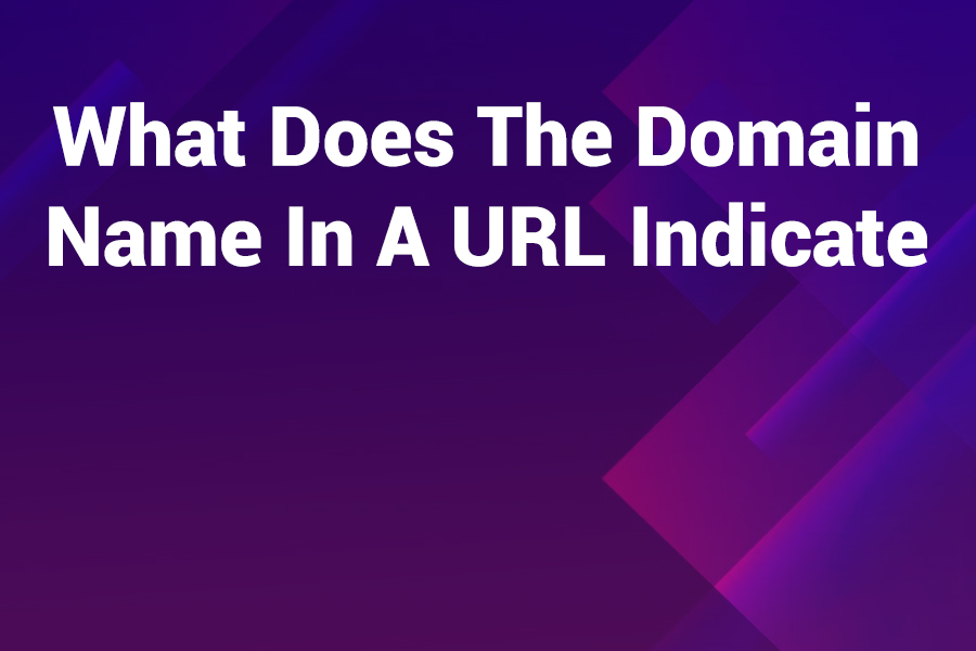 what does the domain name in a url indicate